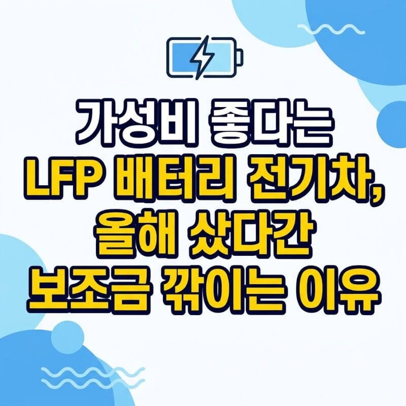 가성비 좋다는 LFP 배터리 전기차, 올해 샀다간 보조금 깎이는 이유 (2026년 개편안)