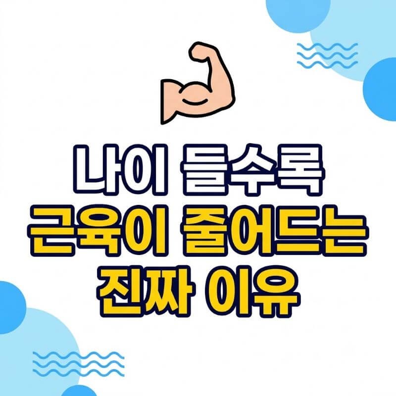 나이 들수록 근육이 줄어드는 진짜 이유 5070 세대의 근감소증 예방을 위한 핵심 가이드
