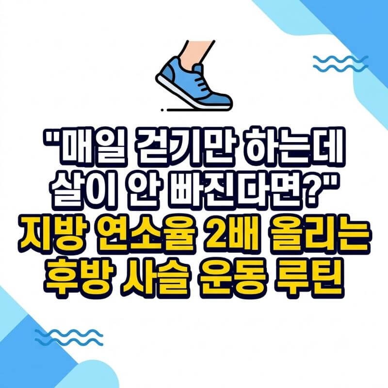 매일 걷기만 하는데 살이 안 빠진다면 지방 연소율 2배 올리는 후방 사슬 운동 루틴