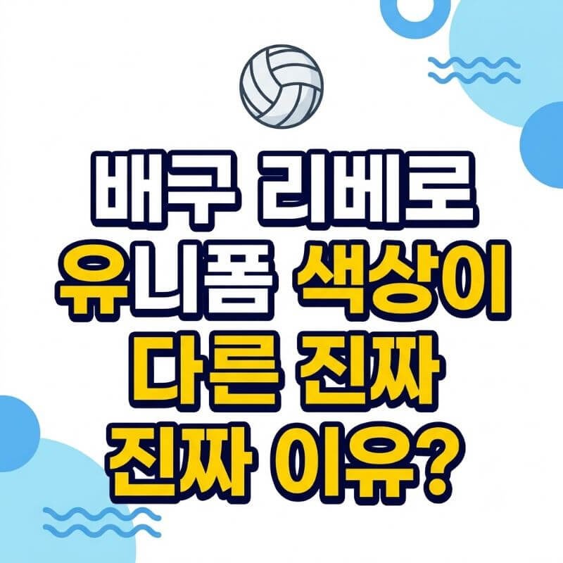 배구 리베로 유니폼 색상이 다른 진짜 이유 특수 포지션 교체 규칙과 수비 전략