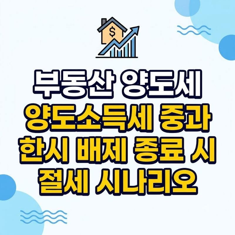 부동산 양도세 다주택자 양도소득세 중과 한시 배제 종료 시 절세 시나리오