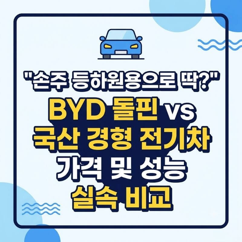 손주 등하원용으로 딱 BYD 돌핀 vs 국산 경형 전기차 가격 및 성능 실속 비교