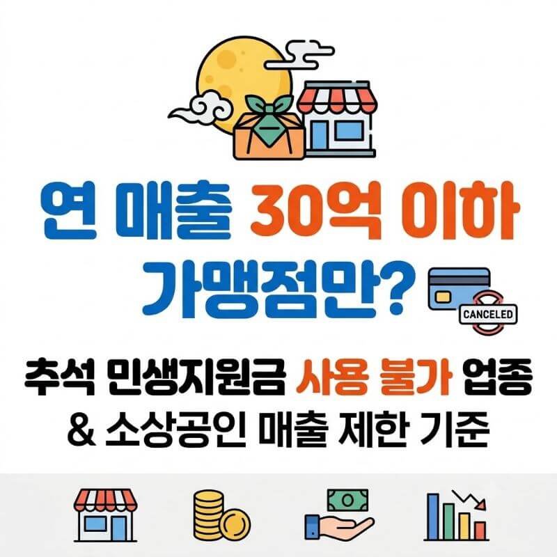 연 매출 30억 이하 가맹점만 추석 민생지원금 사용 불가 업종과 소상공인 매출 제한 기준