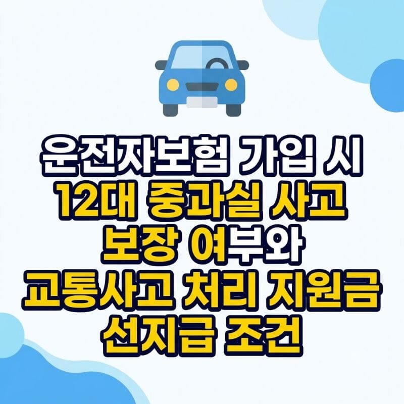 운전자보험 가입 시 12대 중과실 사고 보장 여부와 교통사고 처리 지원금 선지급 조건