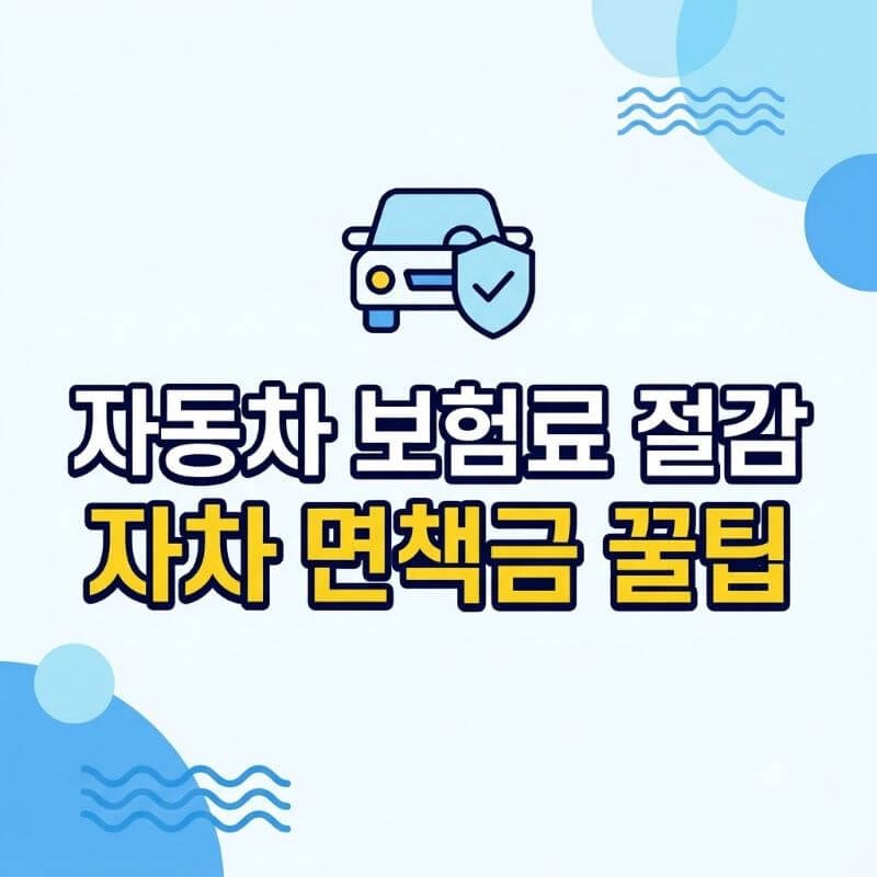 자동차 보험 가입 시 자차 손해 면책금 세팅으로 매년 보험료 대폭 낮추는 법