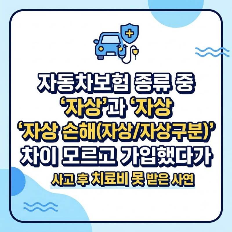 자동차보험 종류 중 자상과 자상 손해(자상자상구분) 차이 모르고 가입했다가 사고 후 치료비 못 받은 사연