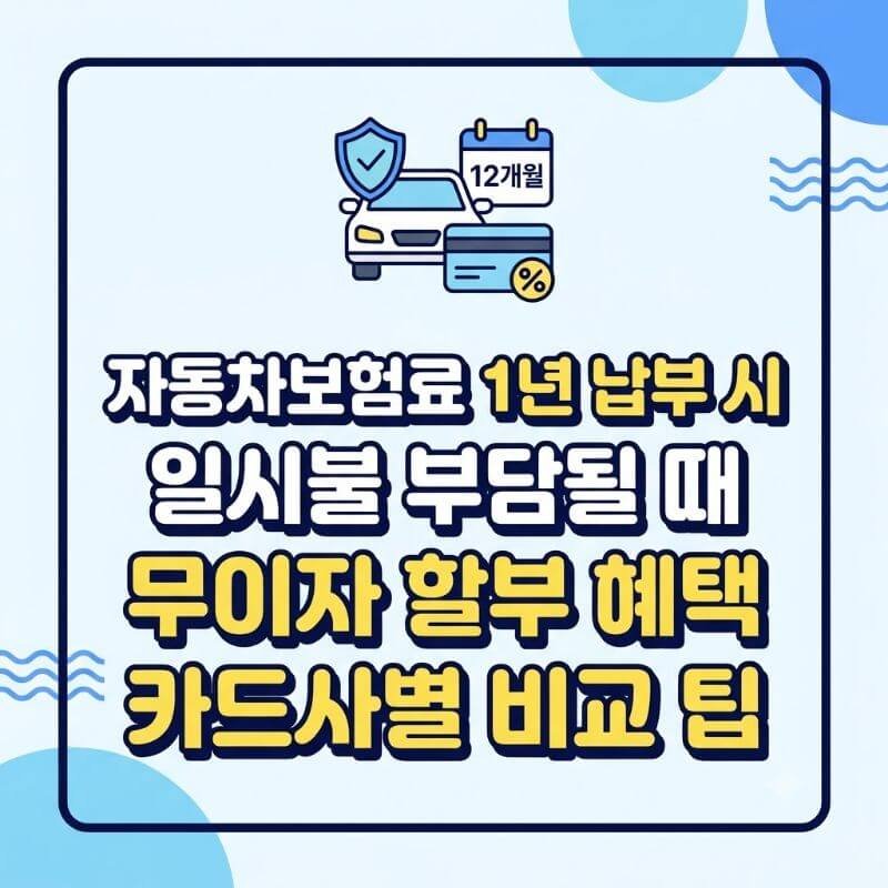 자동차보험료 1년 납부 시 일시불 부담될 때 무이자 할부 혜택 카드사별 비교 팁