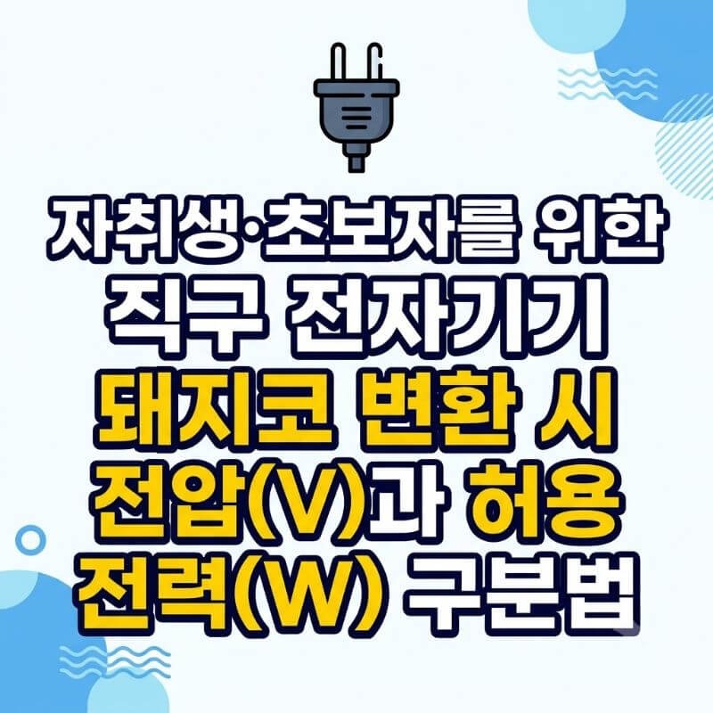 자취생·초보자를 위한 직구 전자기기 돼지코 변환 시 전압(V)과 허용 전력(W) 구분법