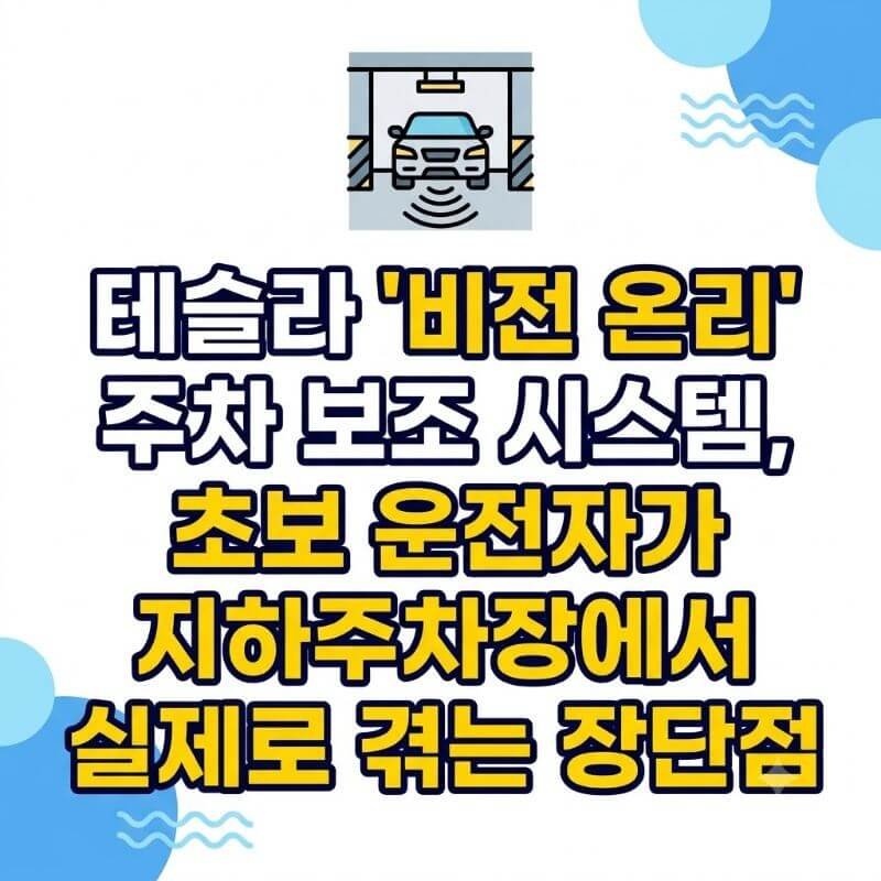 테슬라 비전 온리 주차 보조 시스템, 초보 운전자가 지하주차장에서 실제로 겪는 장단점