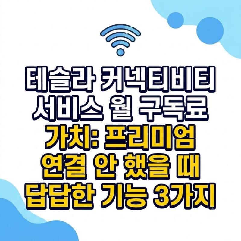 테슬라 커넥티비티 서비스 월 구독료 가치 프리미엄 연결 안 했을 때 답답한 기능 3가지